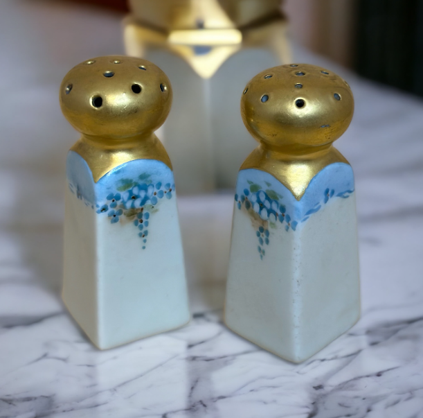 Vintage Nippon Porcelain Hand Painted Salt & Pepper Shakers