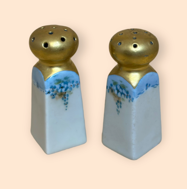 Vintage Nippon Porcelain Hand Painted Salt & Pepper Shakers